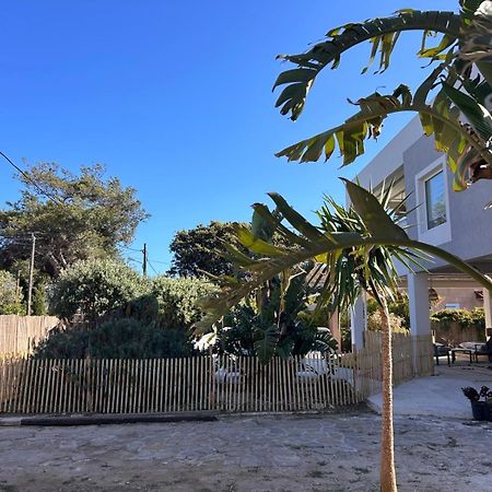 Bas De Villa - 300M Plage De La Capte - 2 Hebergements Disponibles Hyeres Exterior photo